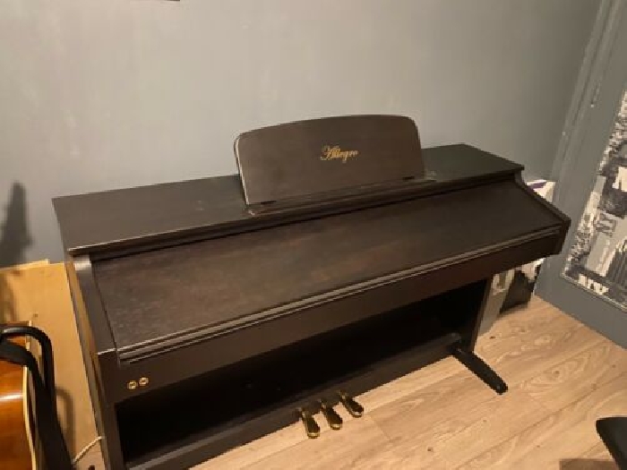 Piano d?occasion Delson Allegro 8865 avec siège (prix négociable)