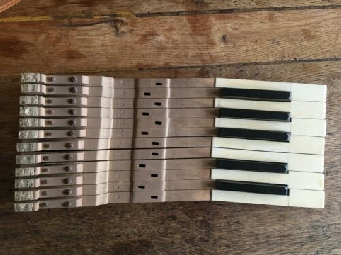touches de piano (ivoire) pour restauration piano ou déco, une gamme complète