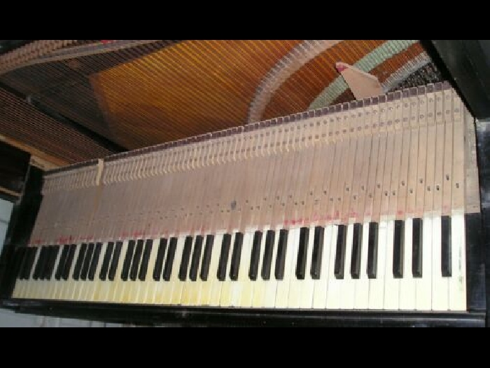Jeu complet de 80 touches anciennes de piano en os