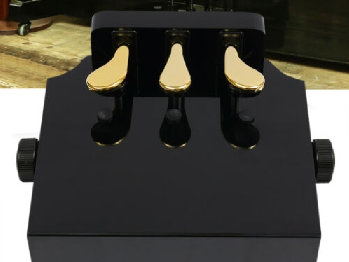 Universel Piano-Style Pédale de Soutien Avec Polarity Interrupteur Design 3Pédal