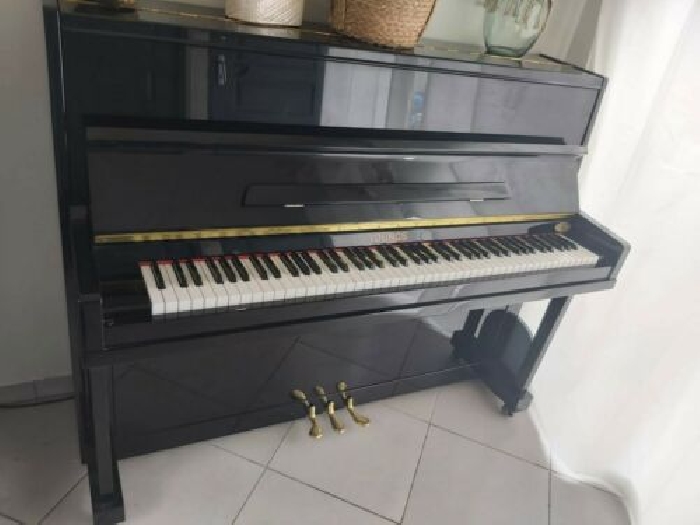 Vend Piano Youngs .