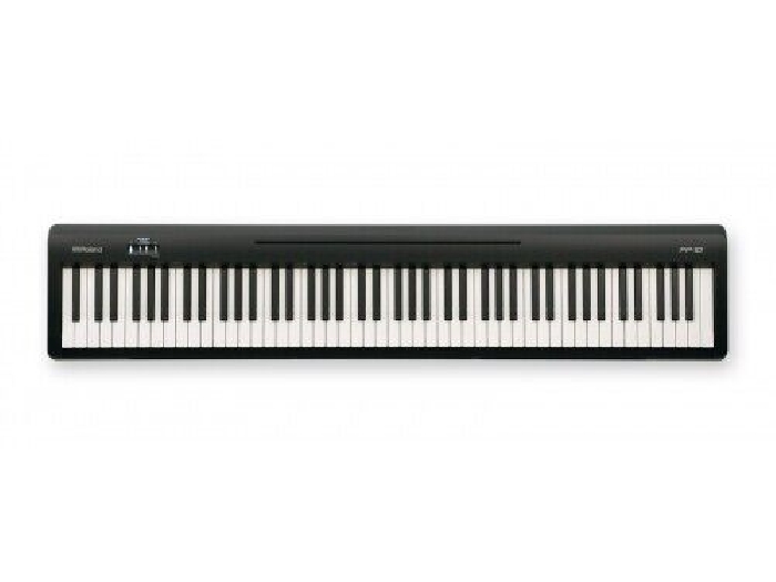ROLAND - FP-10