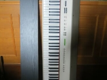 piano numérique 88 touches marque DELSON
