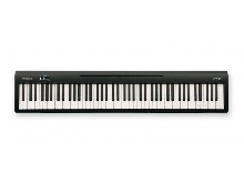 ROLAND - FP-10